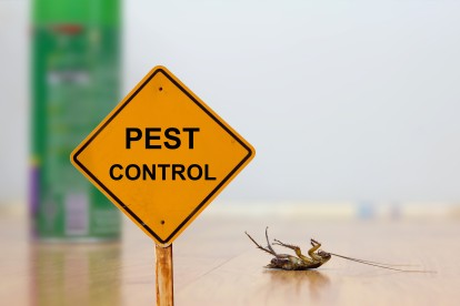 Pest Contol in Farningham, Eynsford, Horton Kirby, DA4. Call Now 020 8166 9746